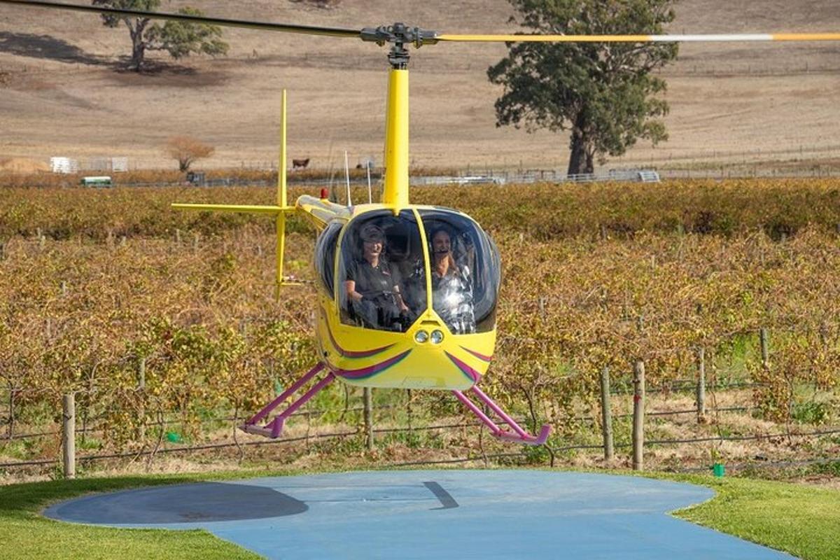 un elicottero giallo sta volando sopra un campo
