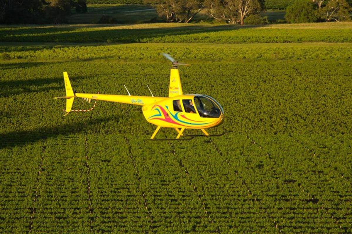 Un pequeño avión amarillo estacionado en un campo