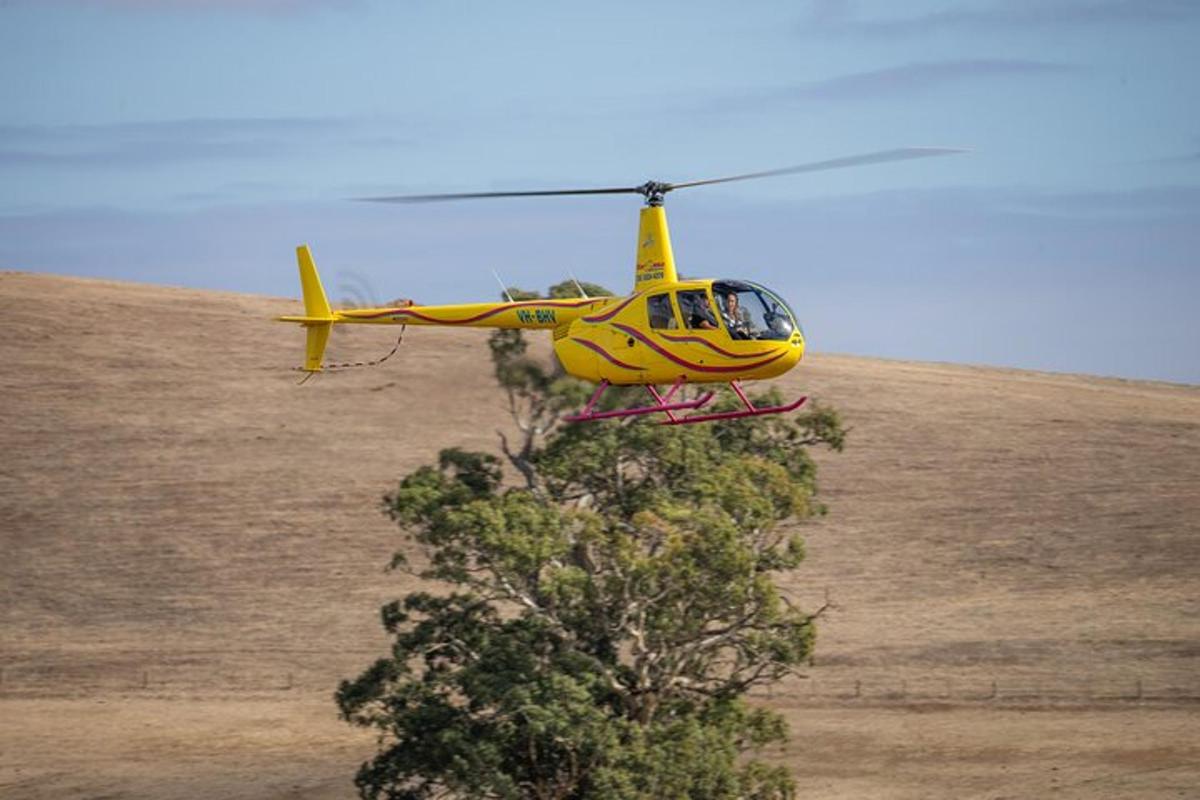 un elicottero giallo che vola sopra un albero in un campo