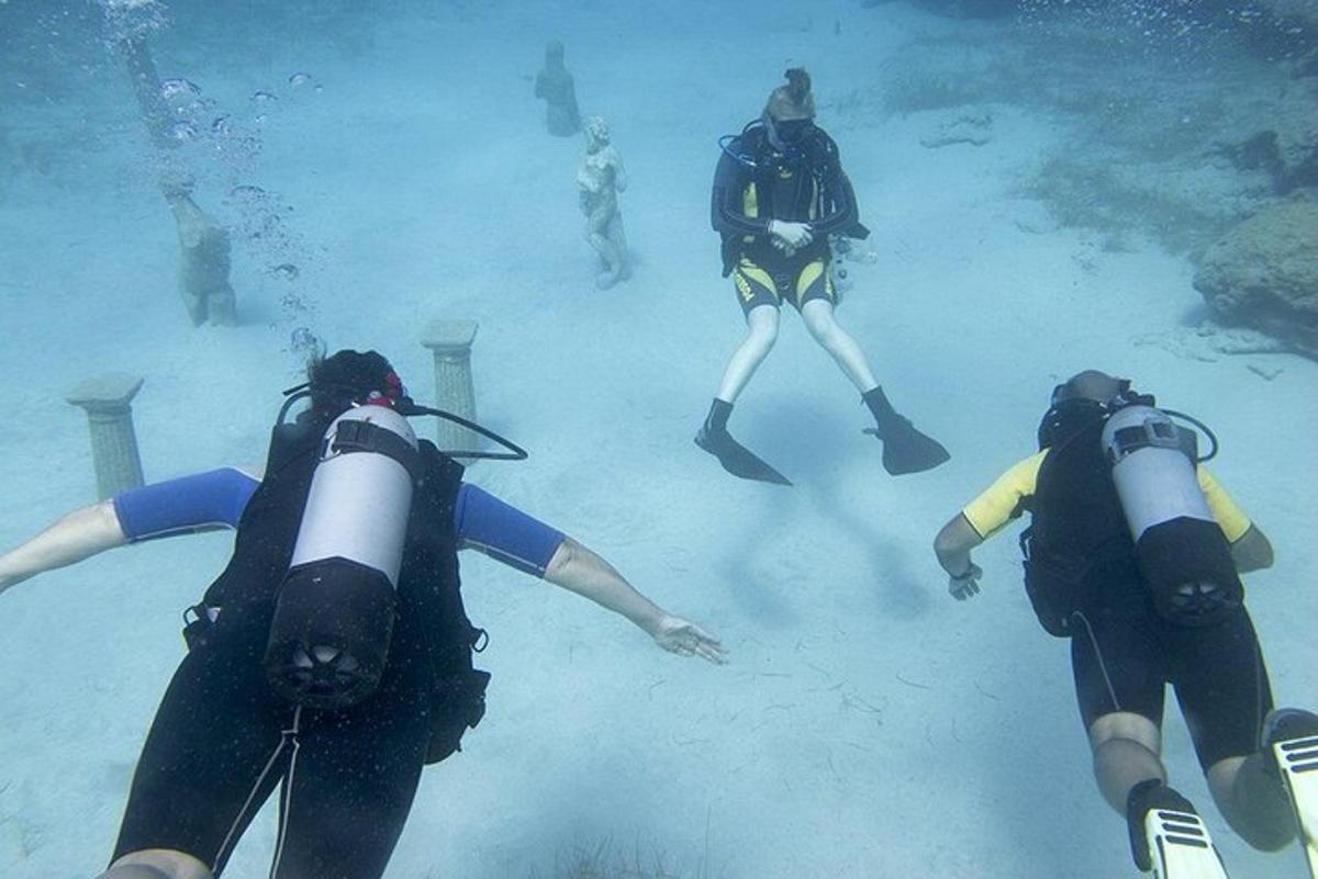 sekumpulan orang berenang di dalam air