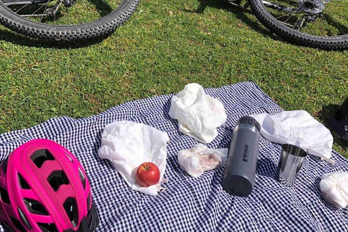 piknikutekk murul koos jalgrattakiivriga