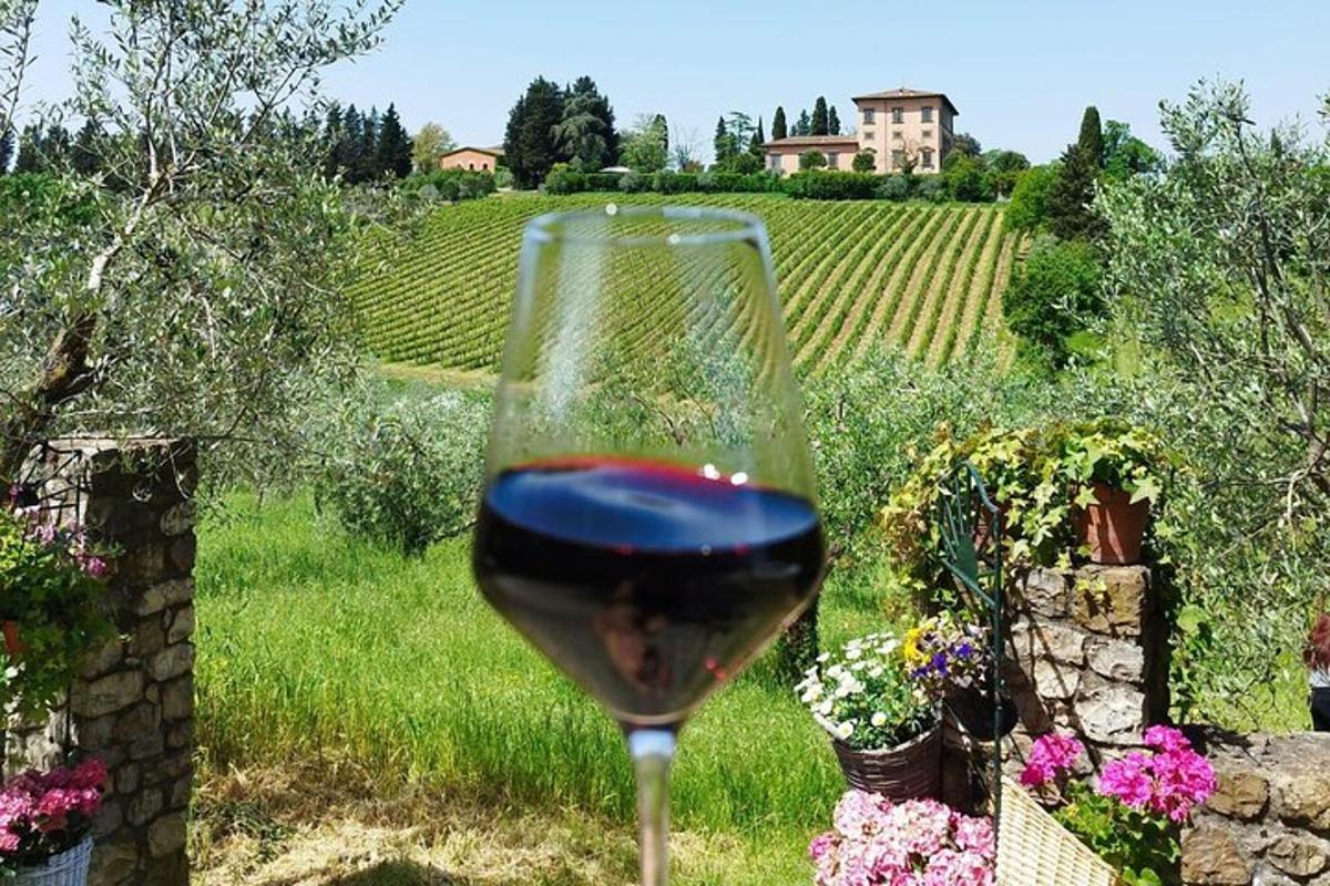 sklenka červeného vína před vinicí