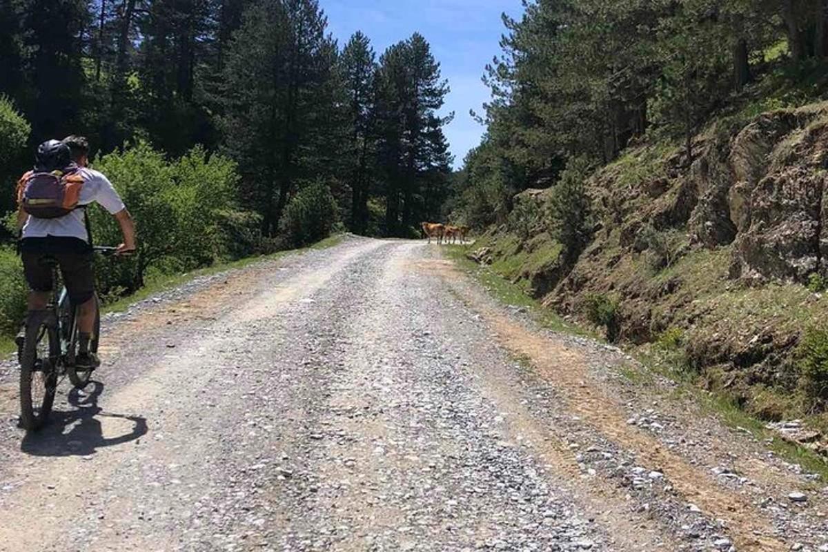 una persona que va en bicicleta por un camino de tierra