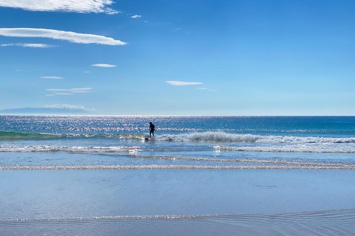 a person is standing in the water at the beach
