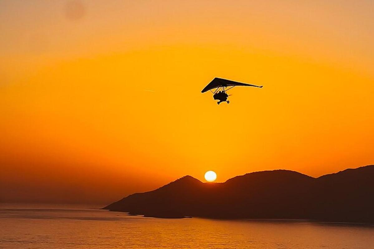 un uccello che vola davanti al tramonto