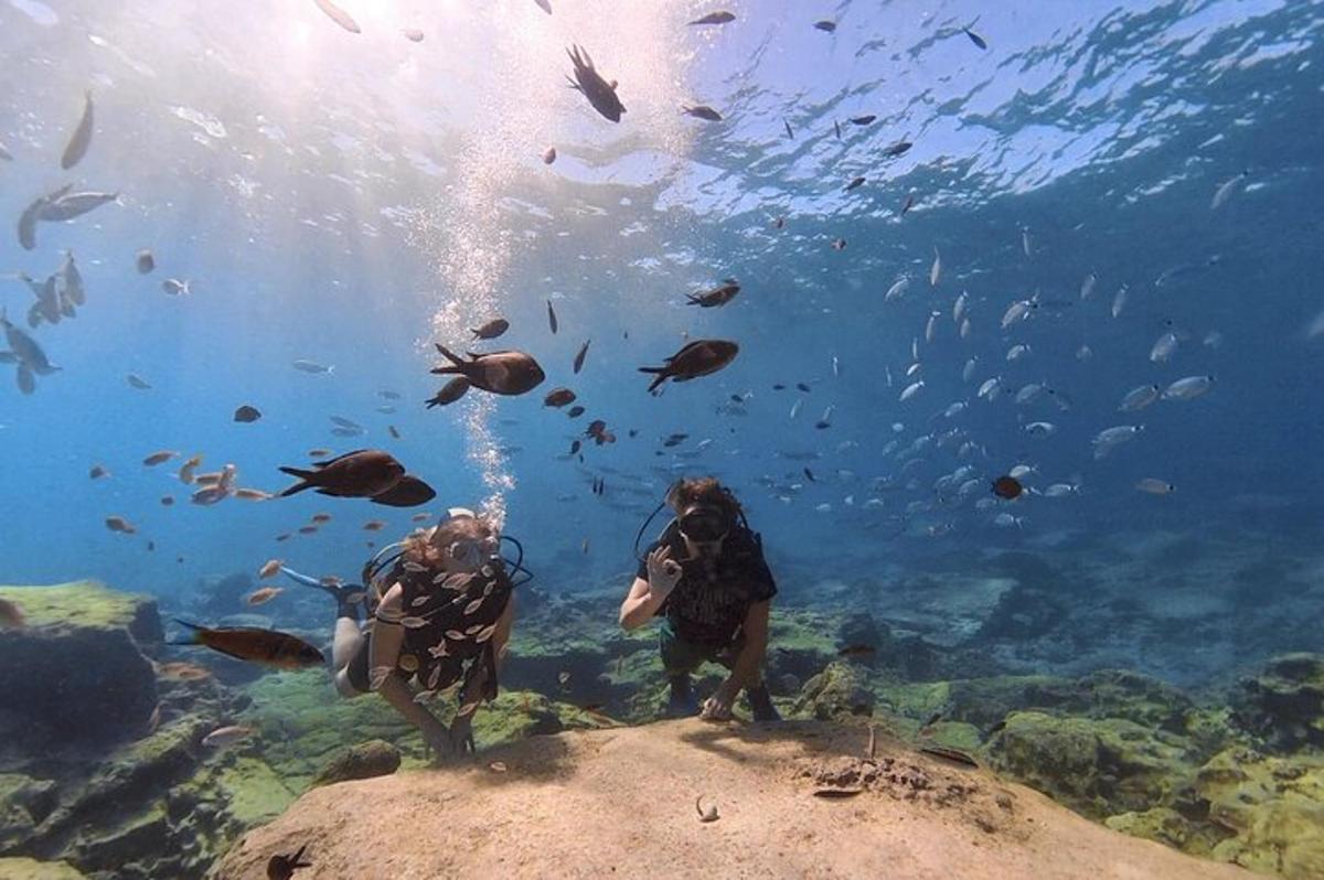 two people taking pictures of fish in the ocean