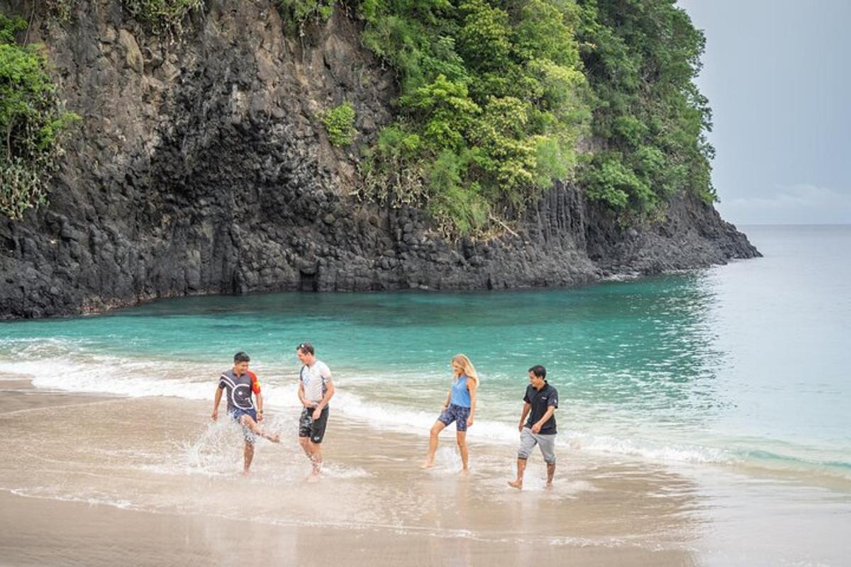 un gruppo di persone che camminano nell'acqua sulla spiaggia