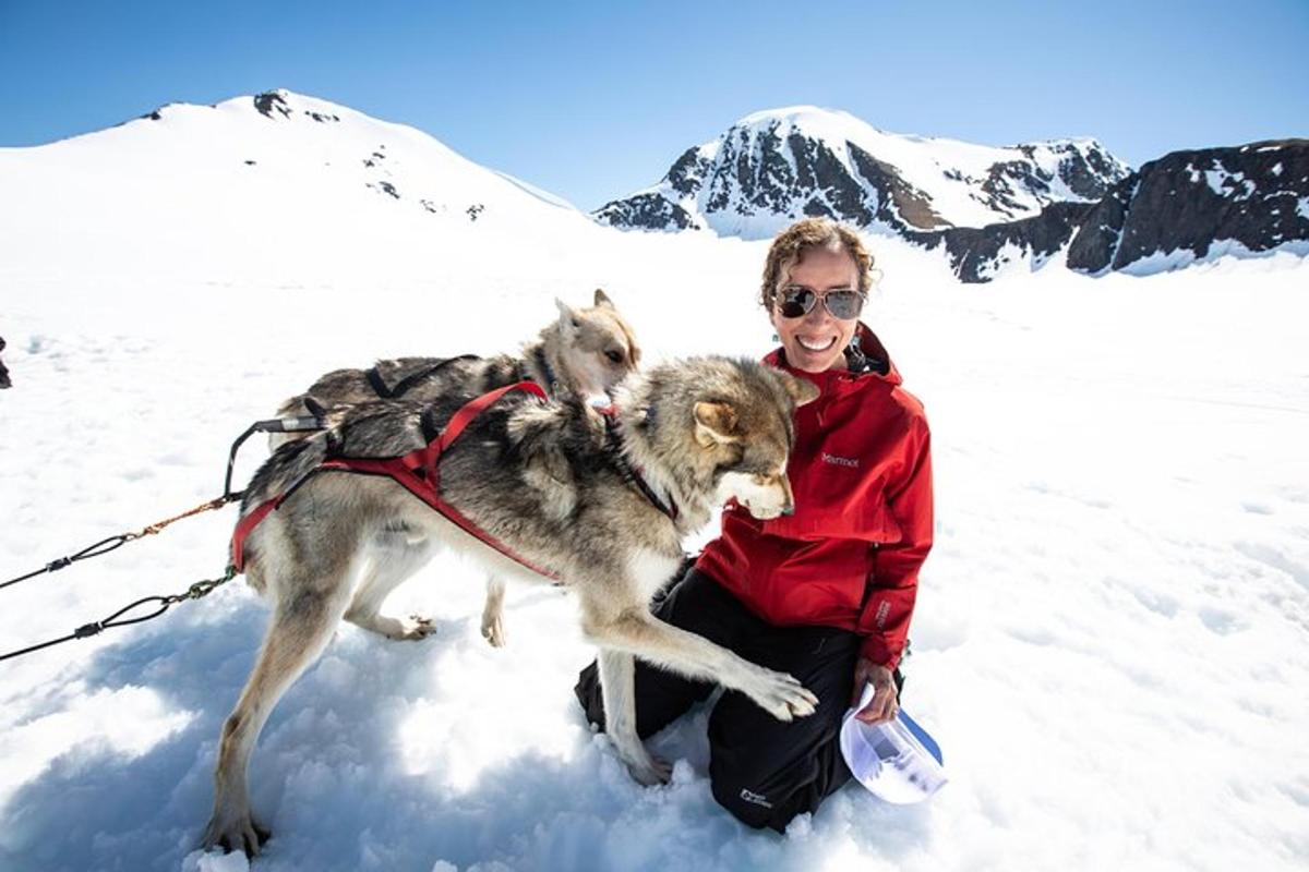 una dona asseguda a la neu amb dos gossos