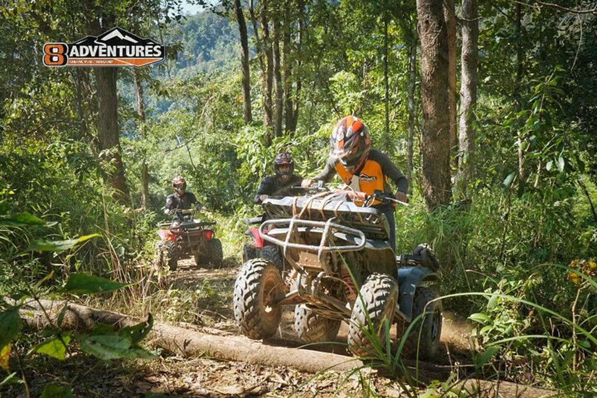 um grupo de pessoas andando de quadriciclo na floresta