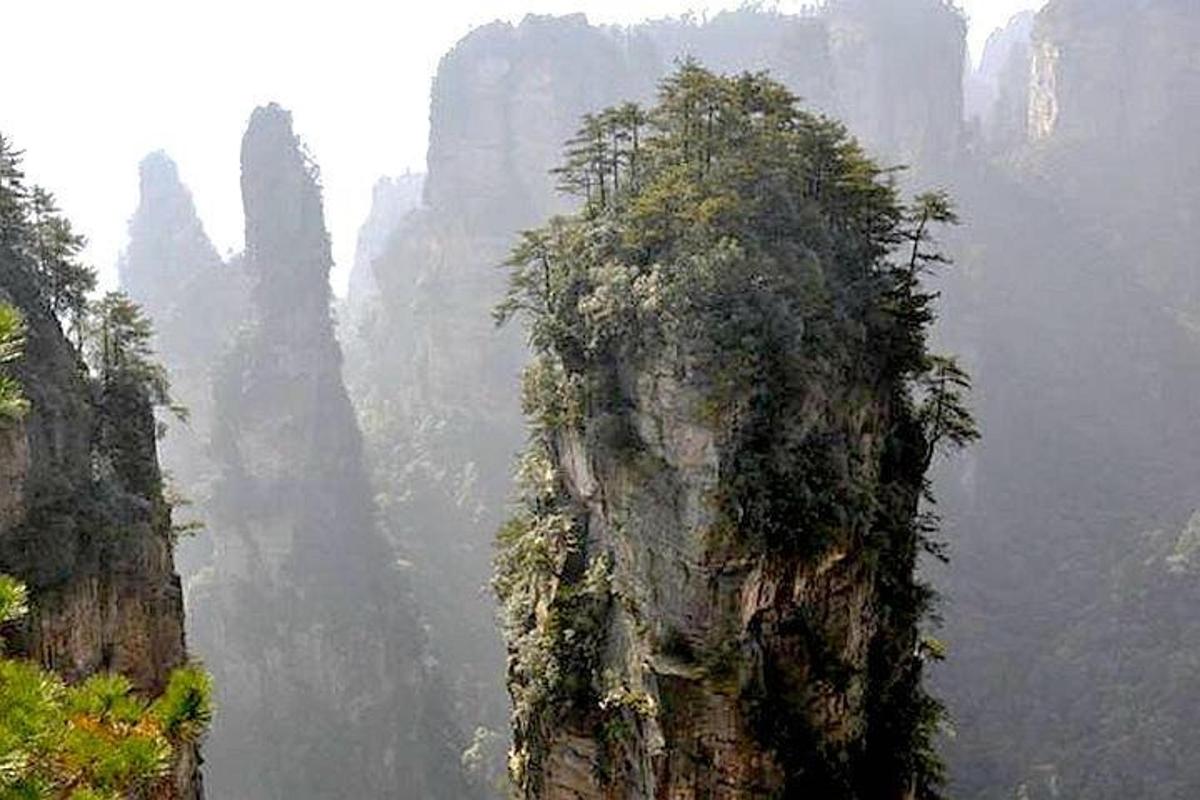 gunung dengan pokok di atasnya