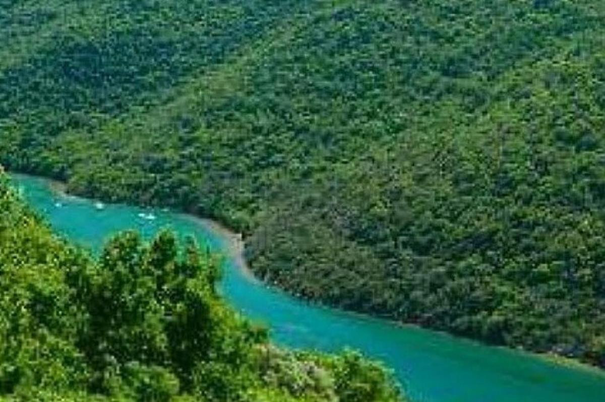 una vista aerea di un fiume con alberi