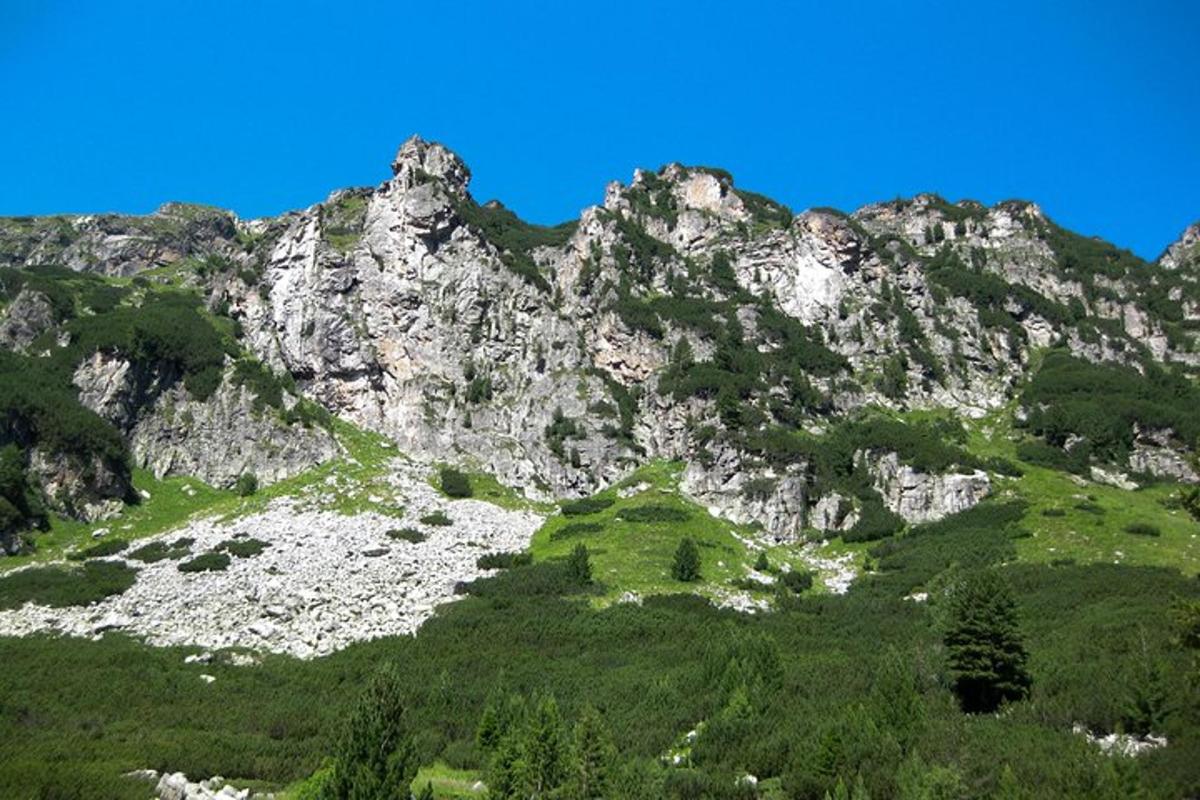stórt grýtt fjall með grænu grasi og trjám
