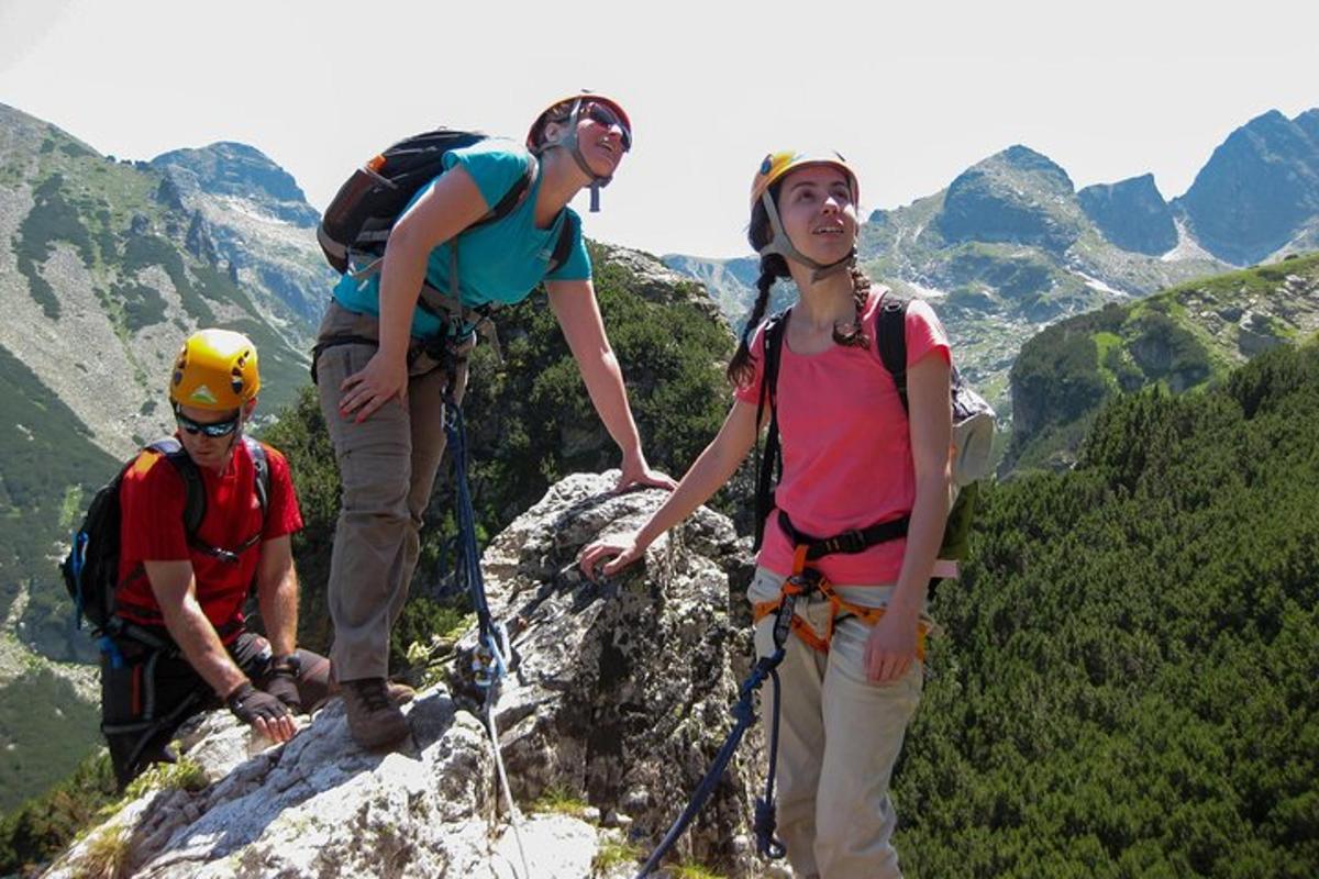hópur fólks sem stendur uppi á fjallstindi