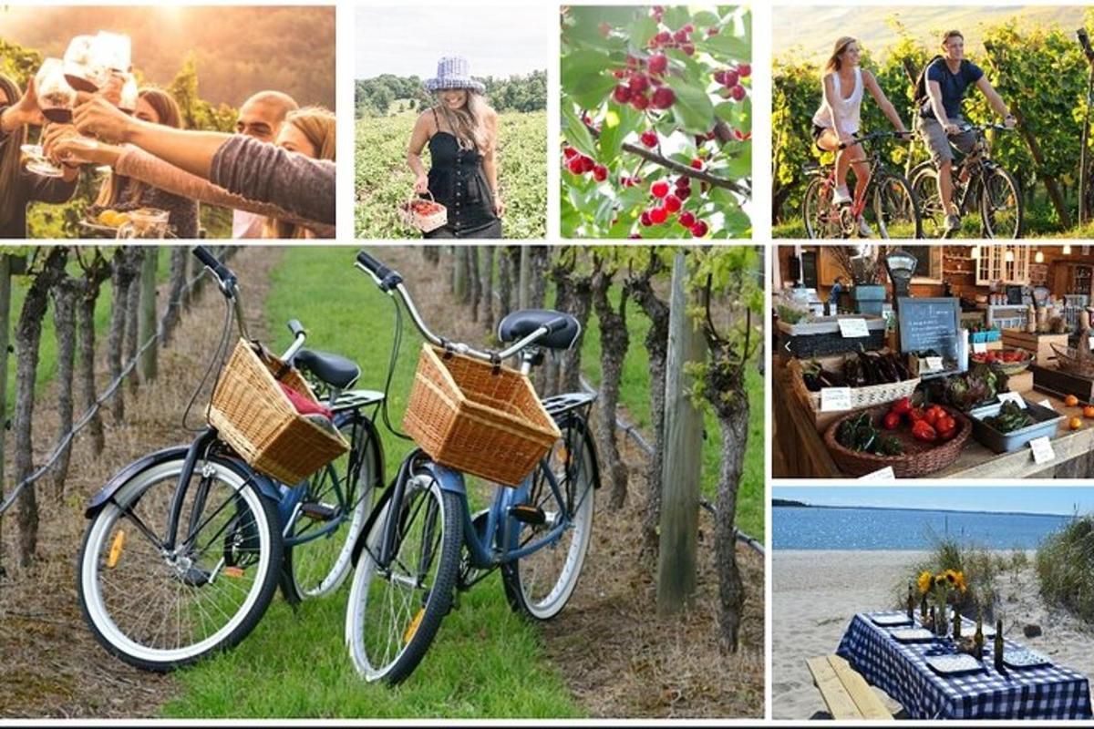 kolaž fotografij koles, parkiranih v vinogradu