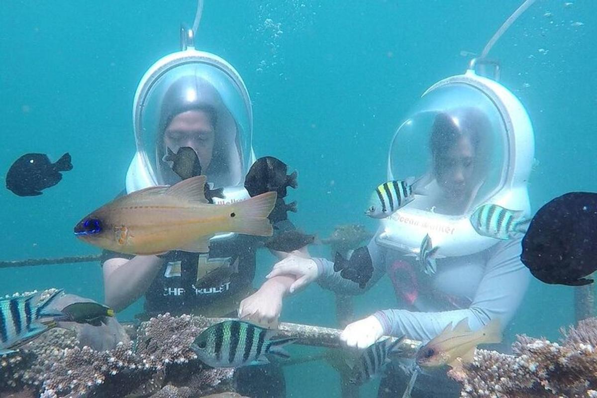 a man and a woman under the water with fish