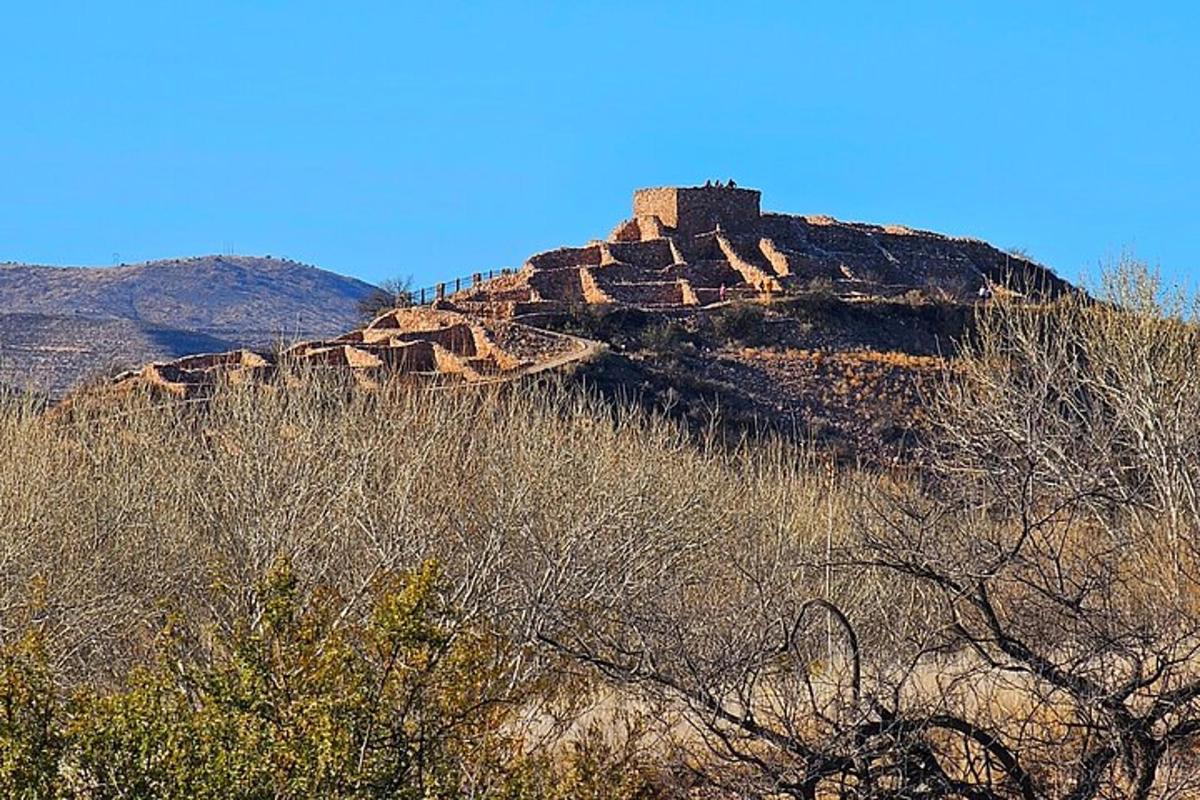 un castello in cima a una collina con alberi