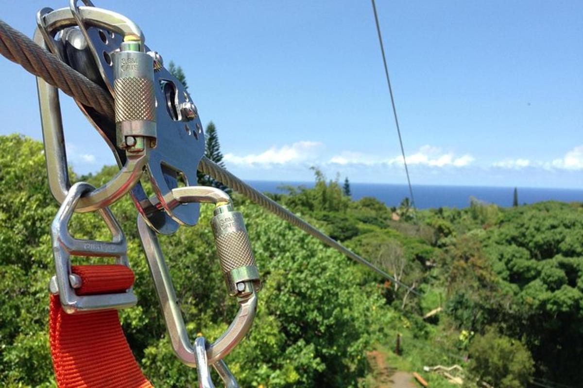 una teleferica nel cielo con alberi sullo sfondo