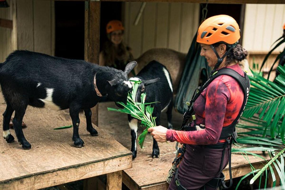 una donna con un casco arancione che accarezza una capra nera