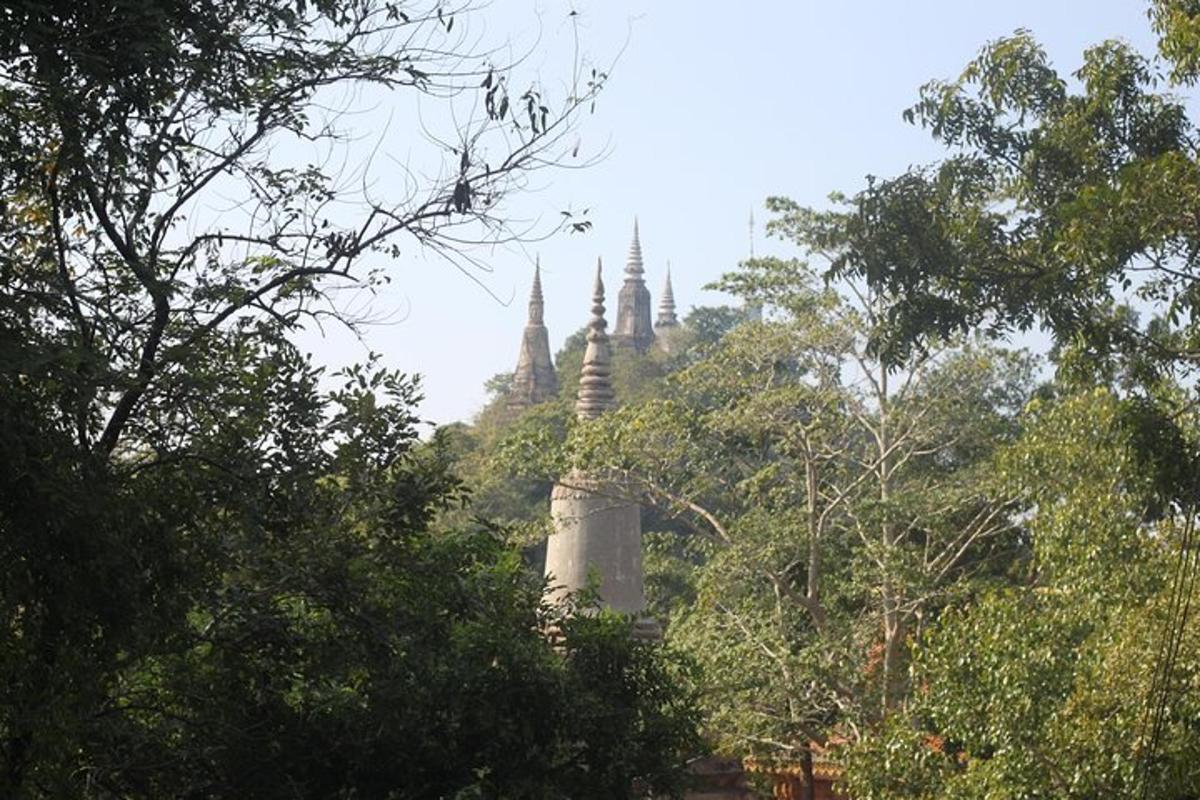 kauguses tempel, esiplaanil puud