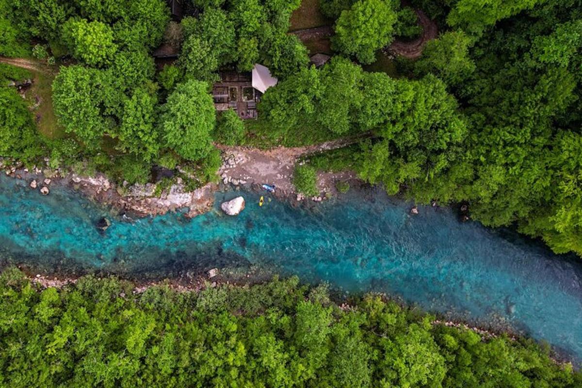 Letecký pohled na řeku v lese