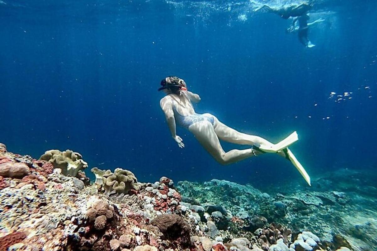 Una mujer se zambulle sobre un arrecife de coral.