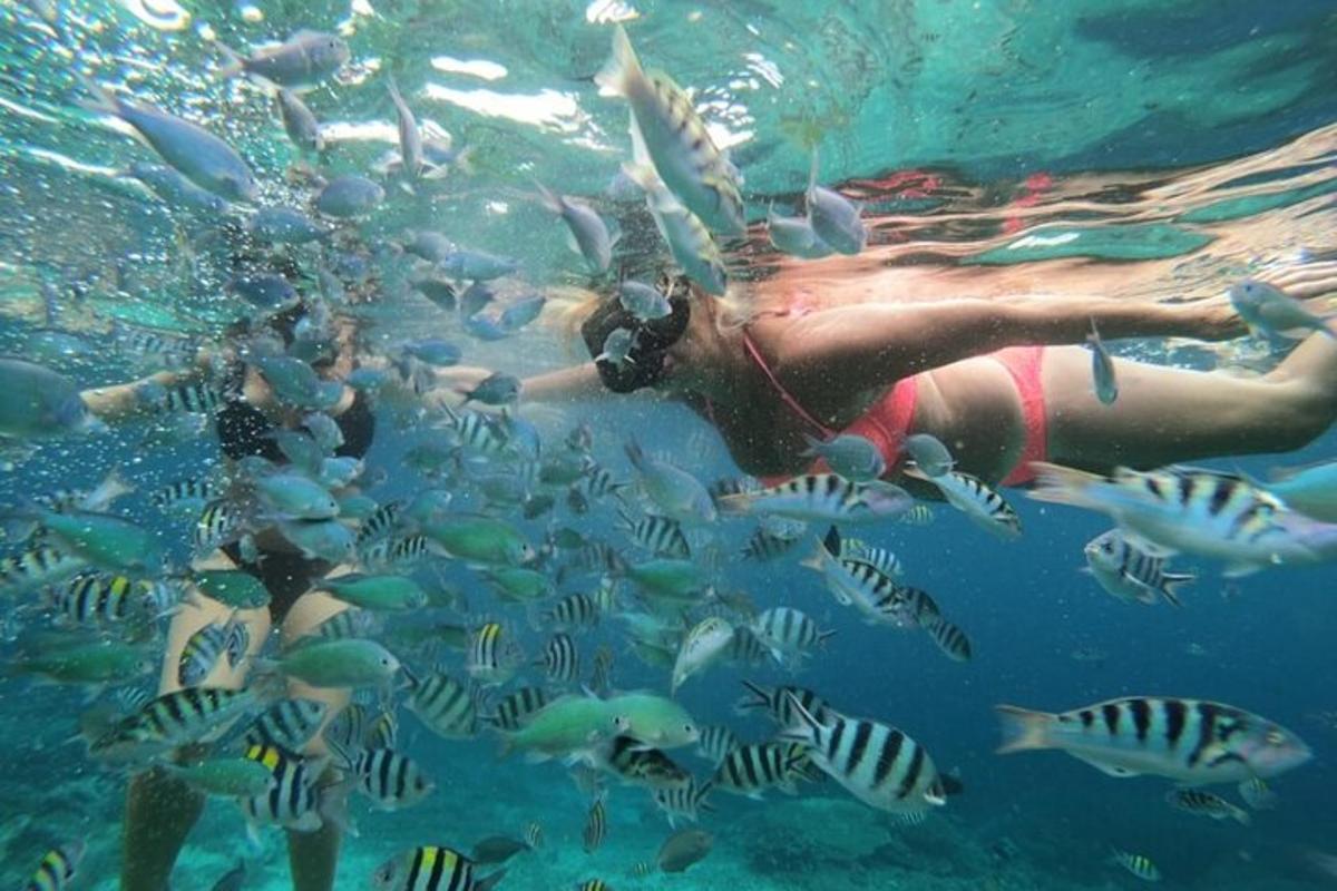 una persona en el agua con un banco de peces