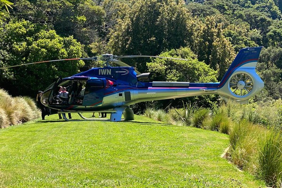 moder helikopter, ki sedi na travi na polju