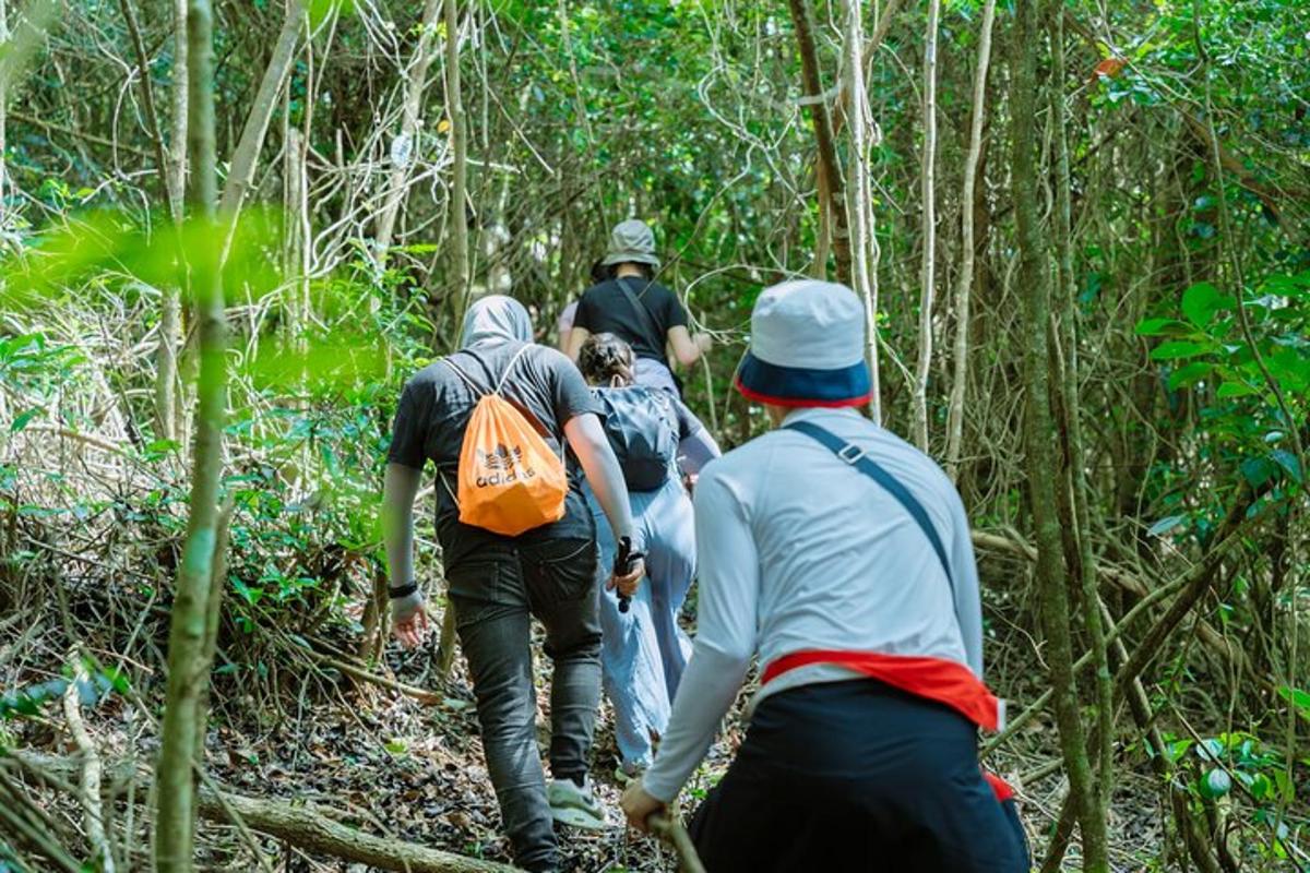 a group of people walking down a trail in the woods