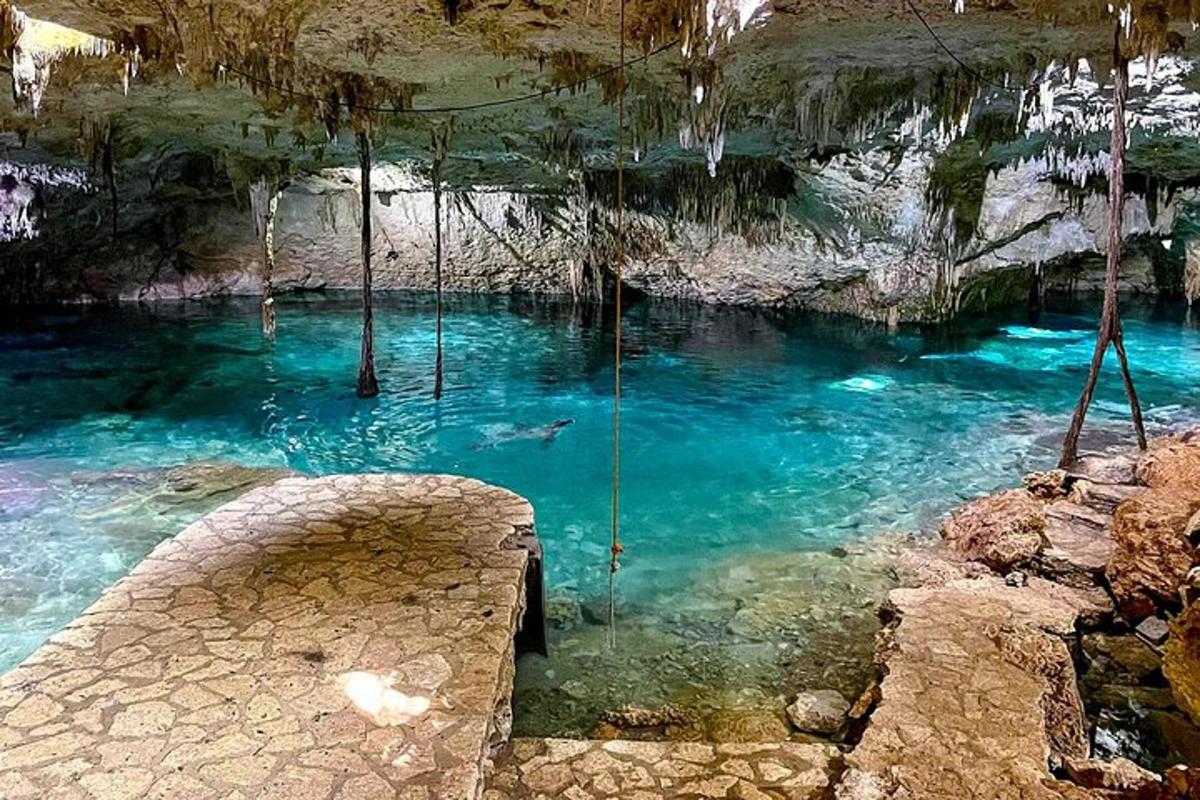 un gronxador en un bassal d'aigua en una cova