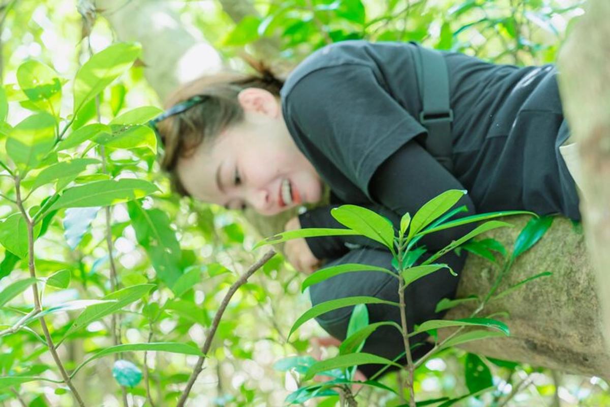 seorang budak lelaki sedang tidur di atas pokok