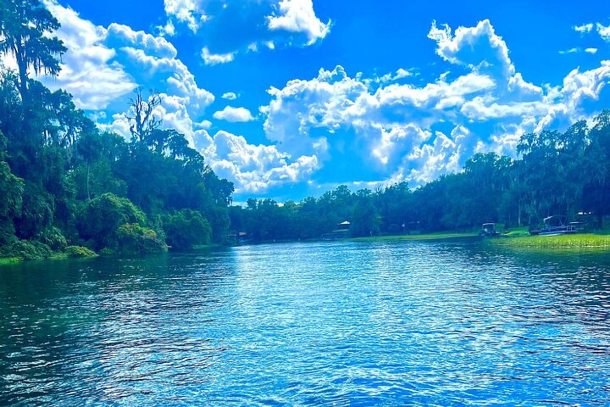 un fiume con alberi e nuvole nel cielo