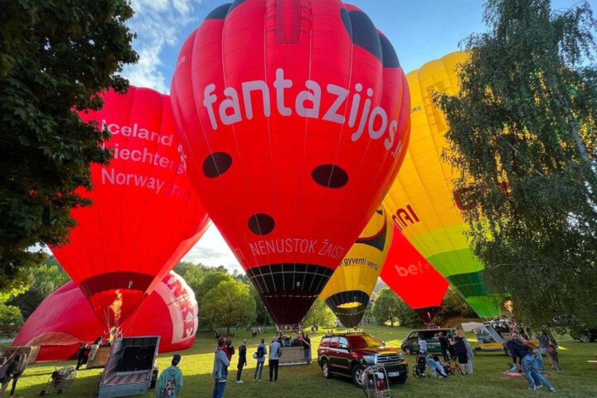 un gruppo di mongolfiere colorate in un campo