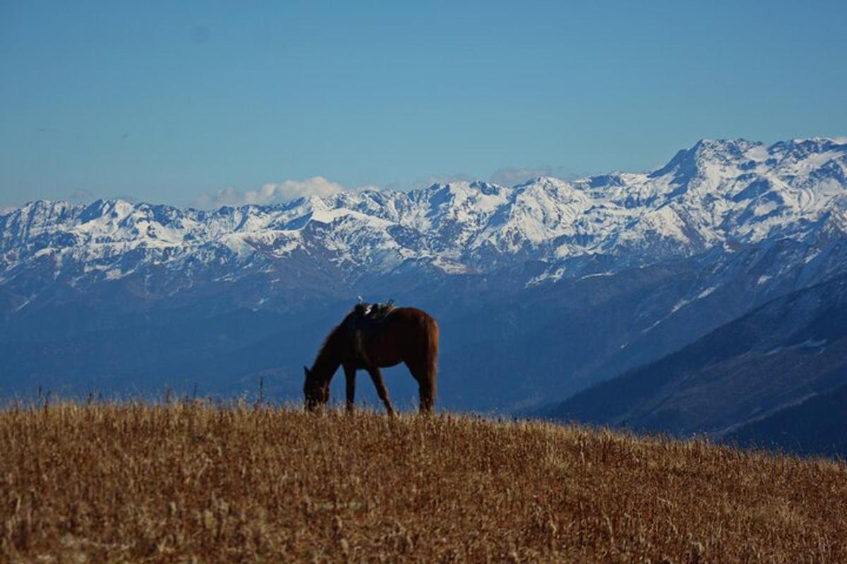 een paard graast op een heuvel met bergen op de achtergrond