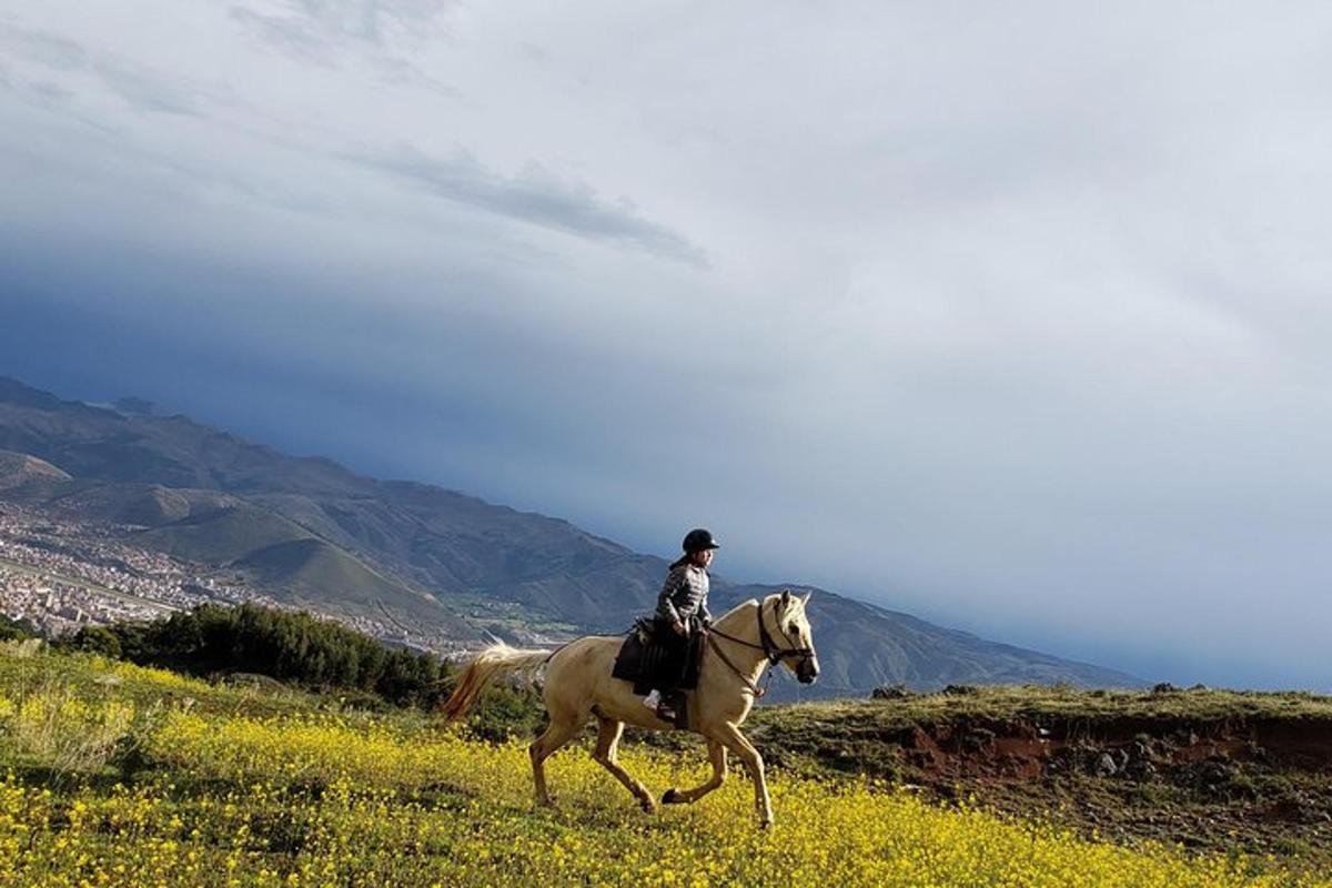 una persona a cavallo in un campo