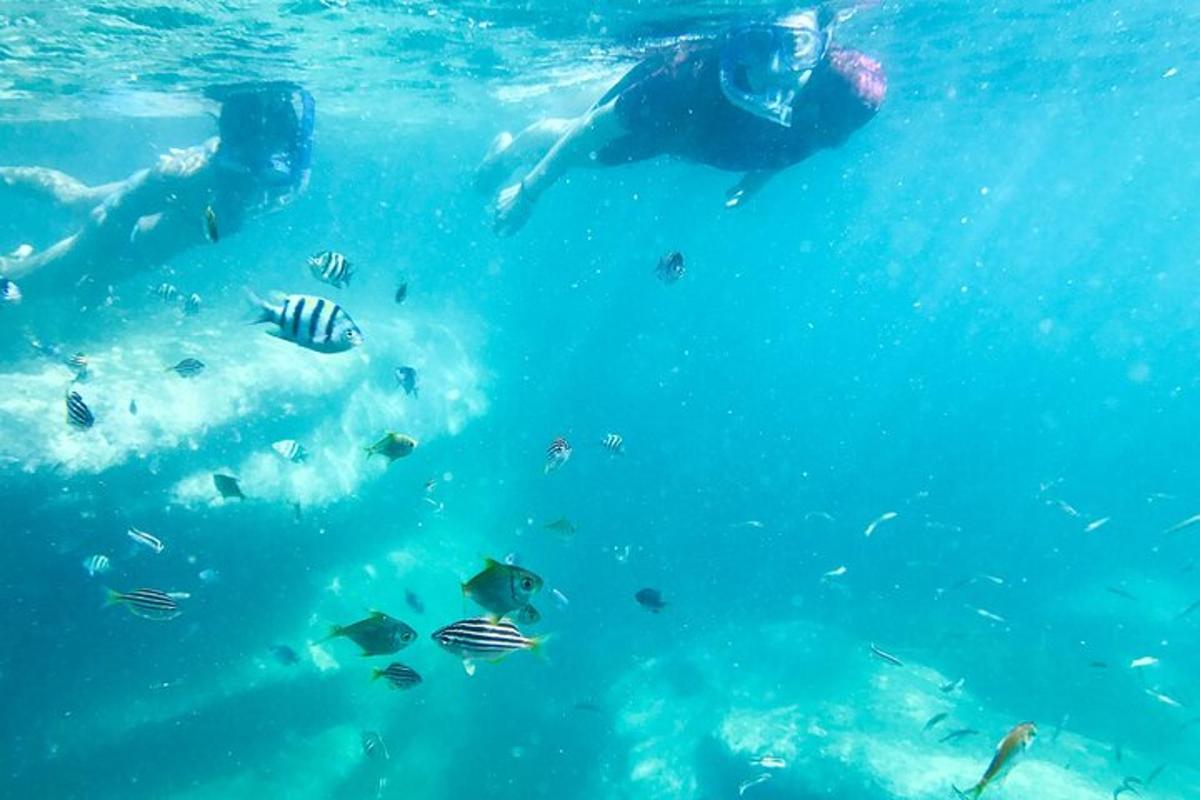 un groupe de personnes nageant dans l'eau avec des poissons