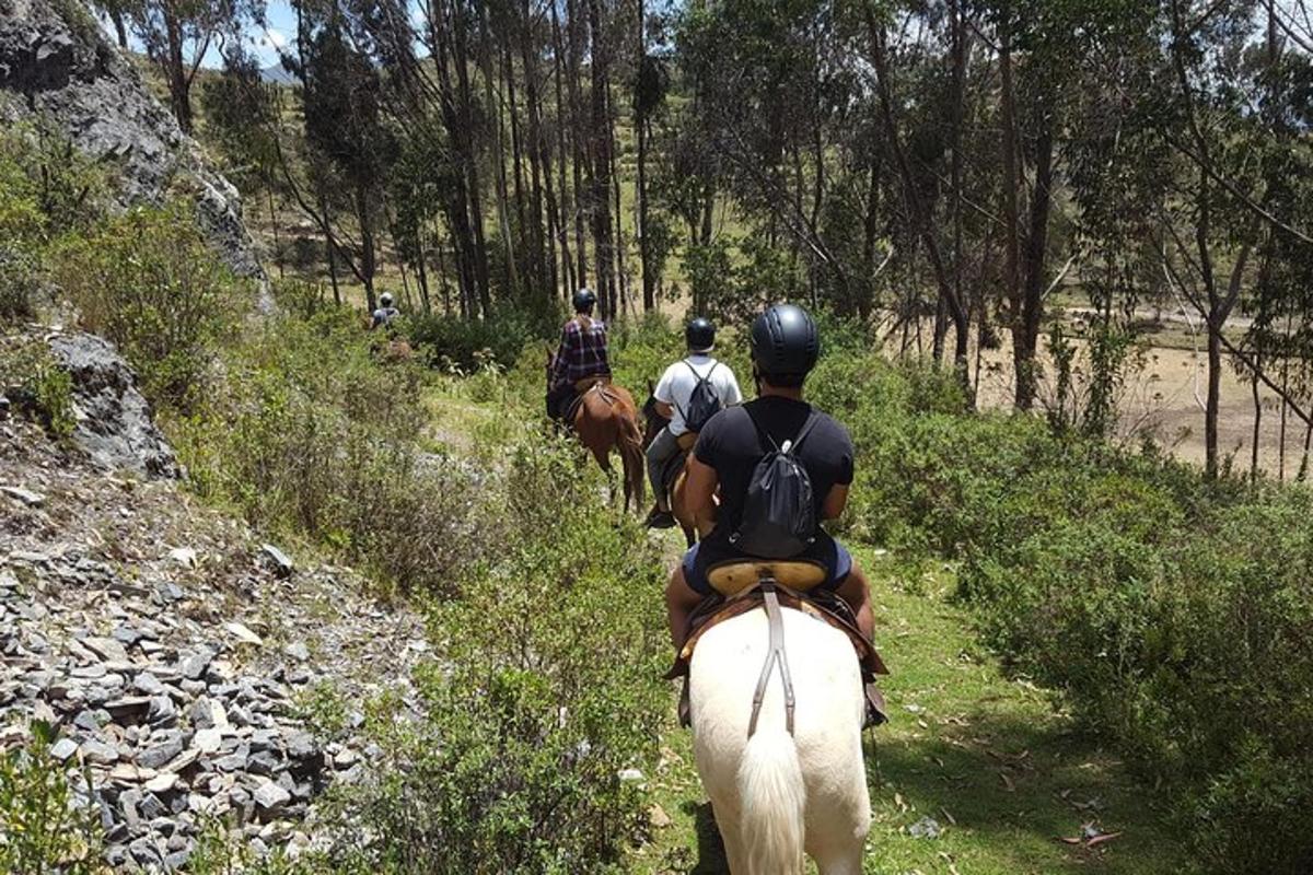 un gruppo di persone a cavallo lungo un sentiero