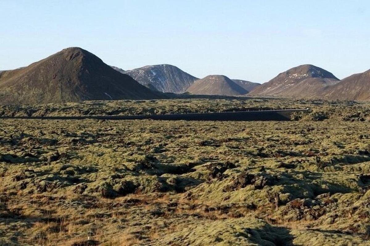 une vue d'un désert avec des montagnes en arrière-plan