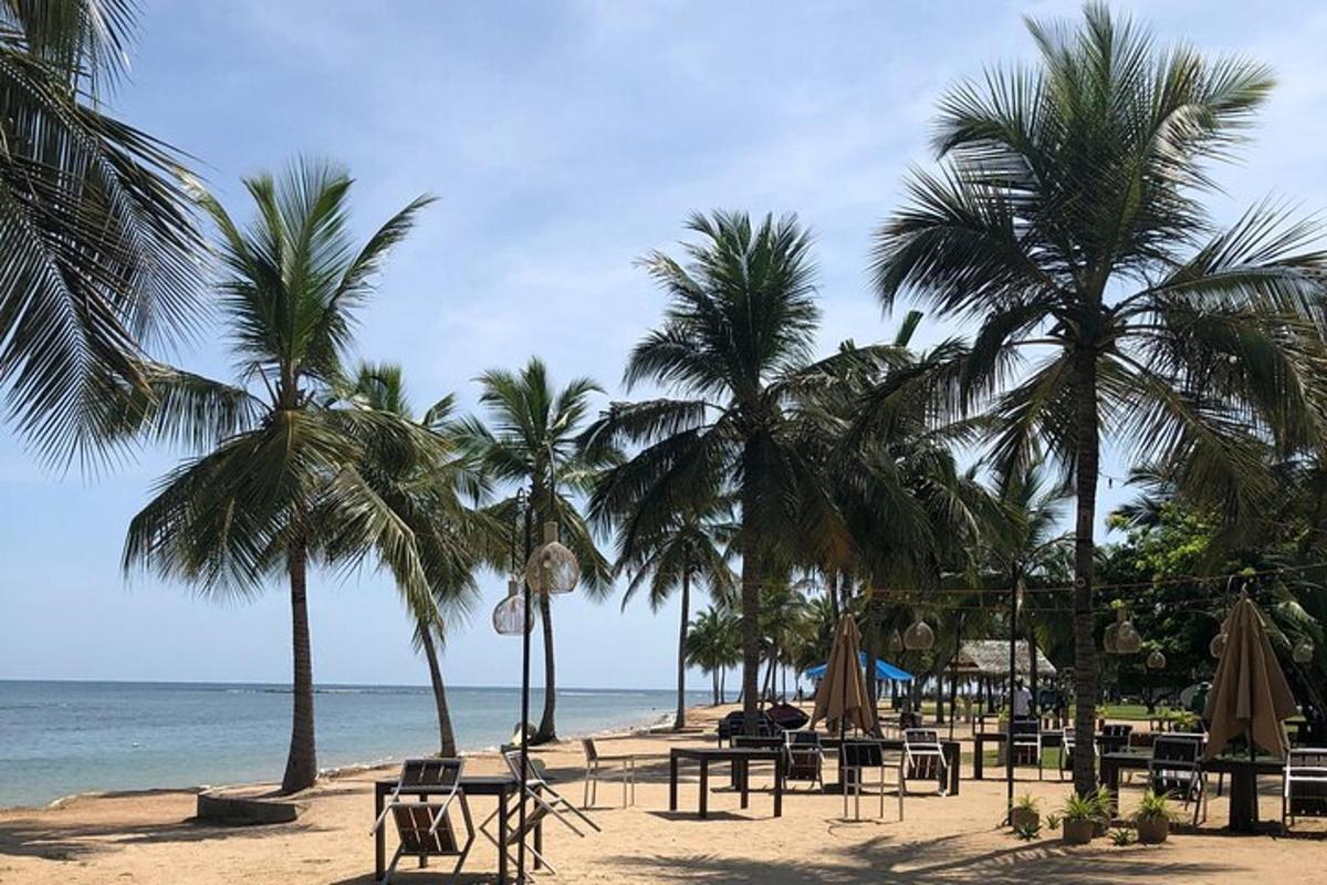 有桌子、棕榈树和大海的海滩