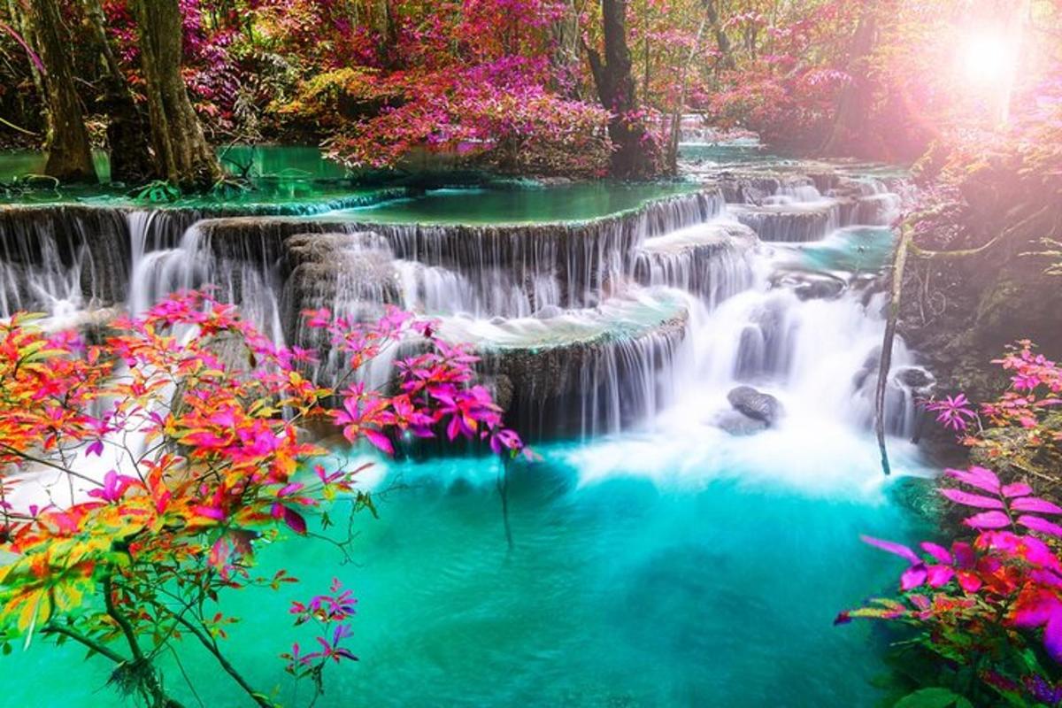 ein Wasserfall in einem Wald mit rosa Blumen