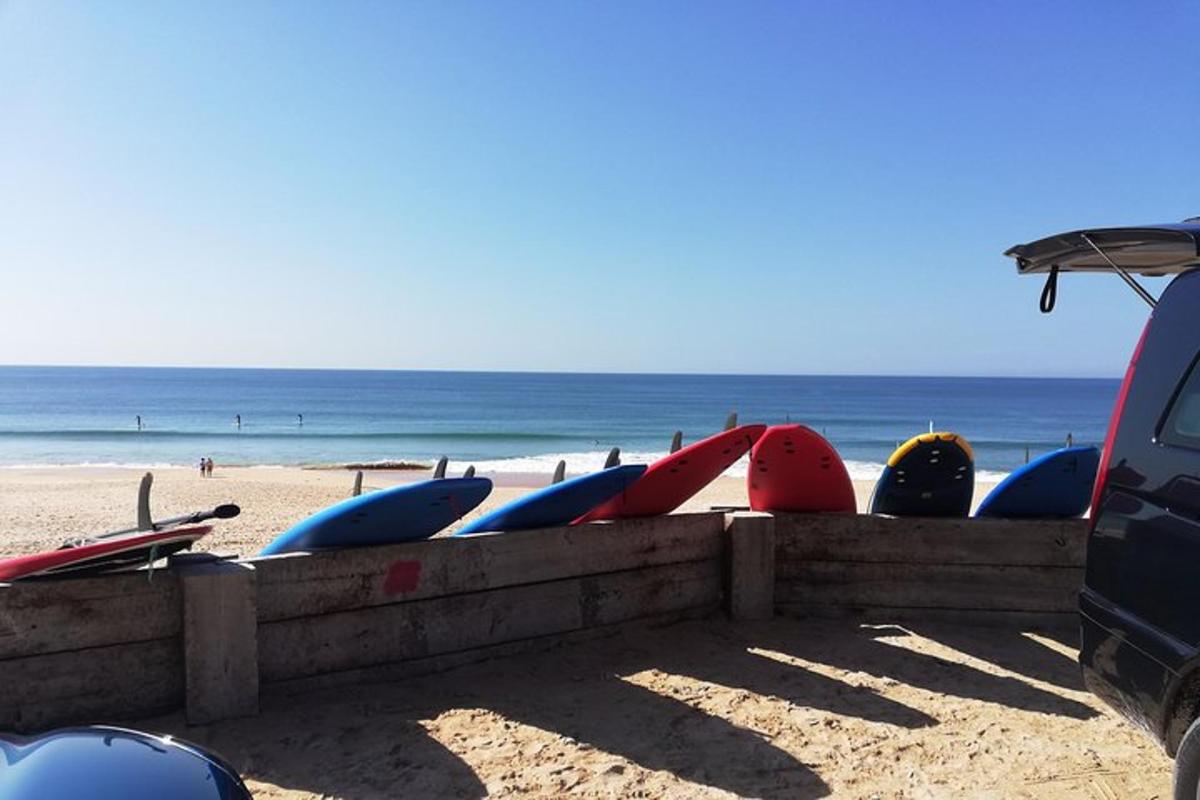 vrsta desk za surfanje, razporejenih po vrsti na plaži