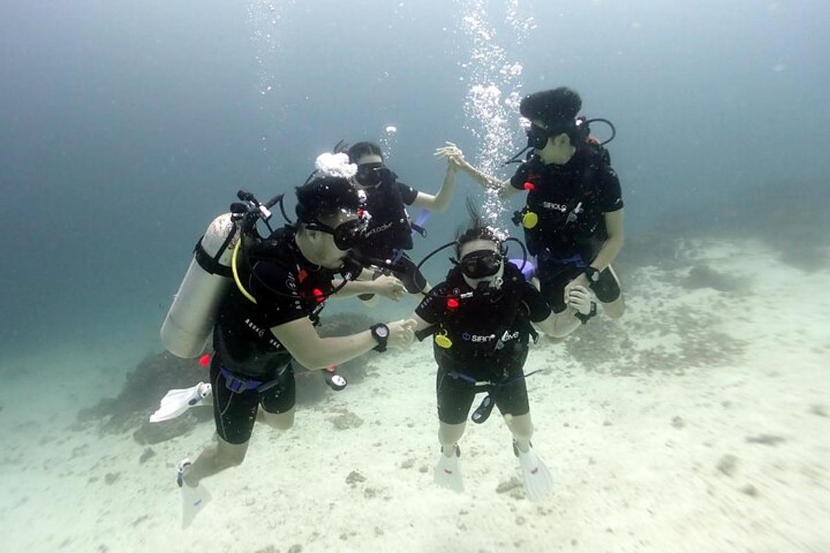 un gruppo di persone in piedi nell'acqua