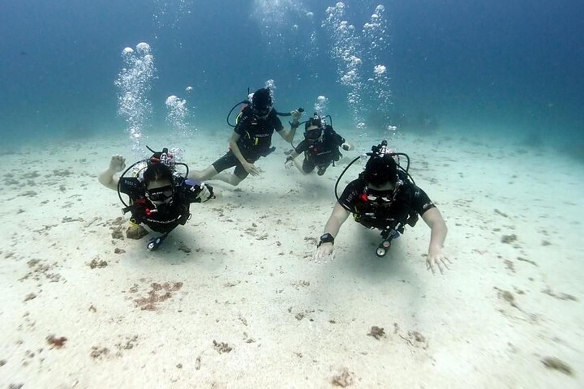 un gruppo di persone che si tuffano in acqua