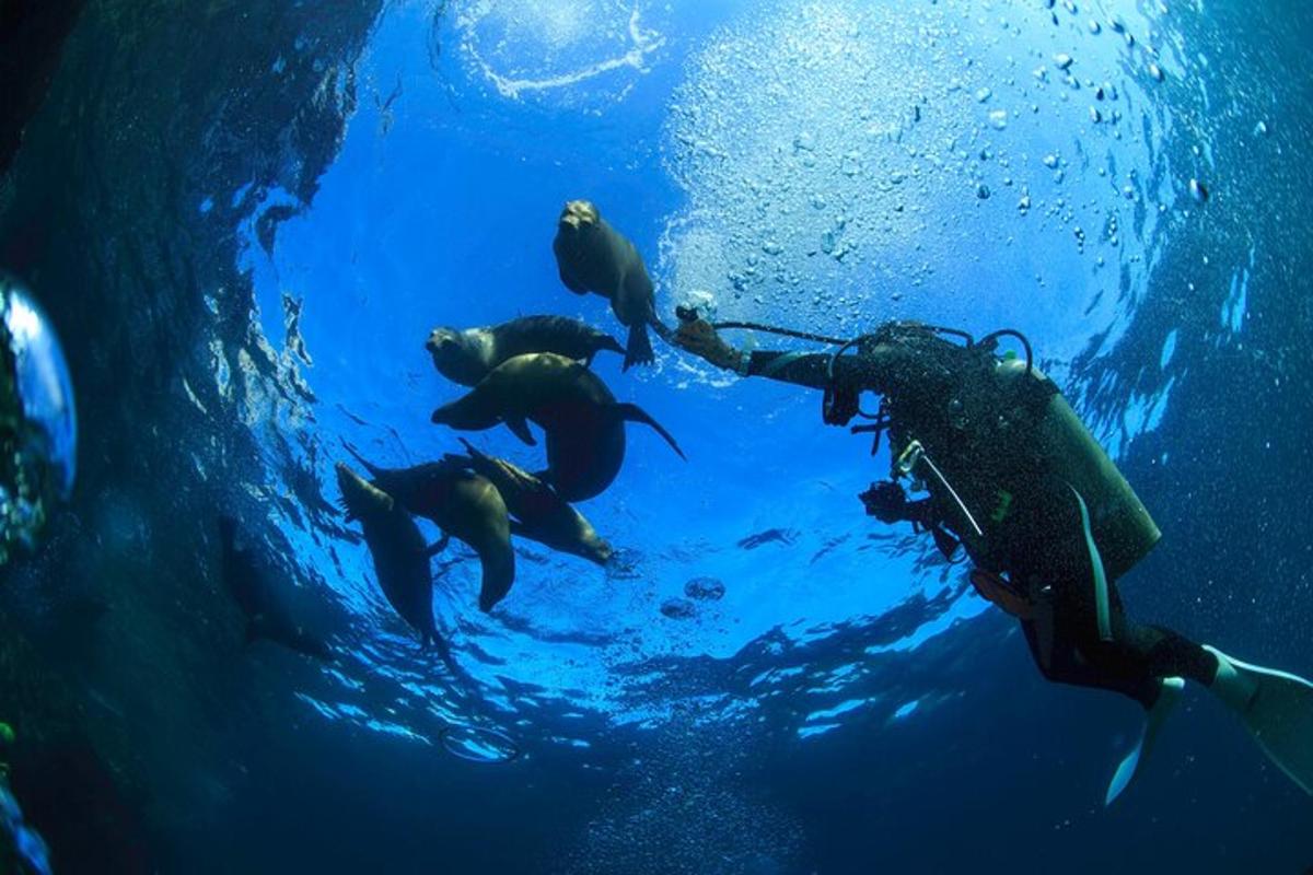 un gruppo di persone che nuotano nell'acqua blu