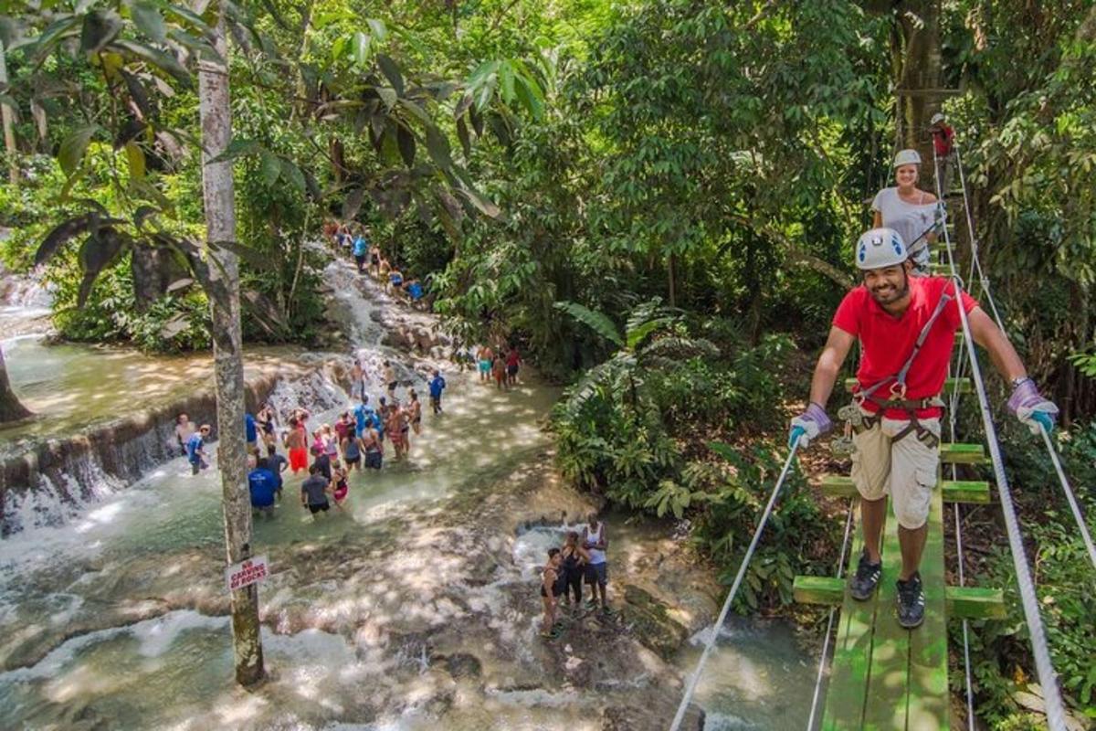 seorang lelaki berzip di dalam hutan