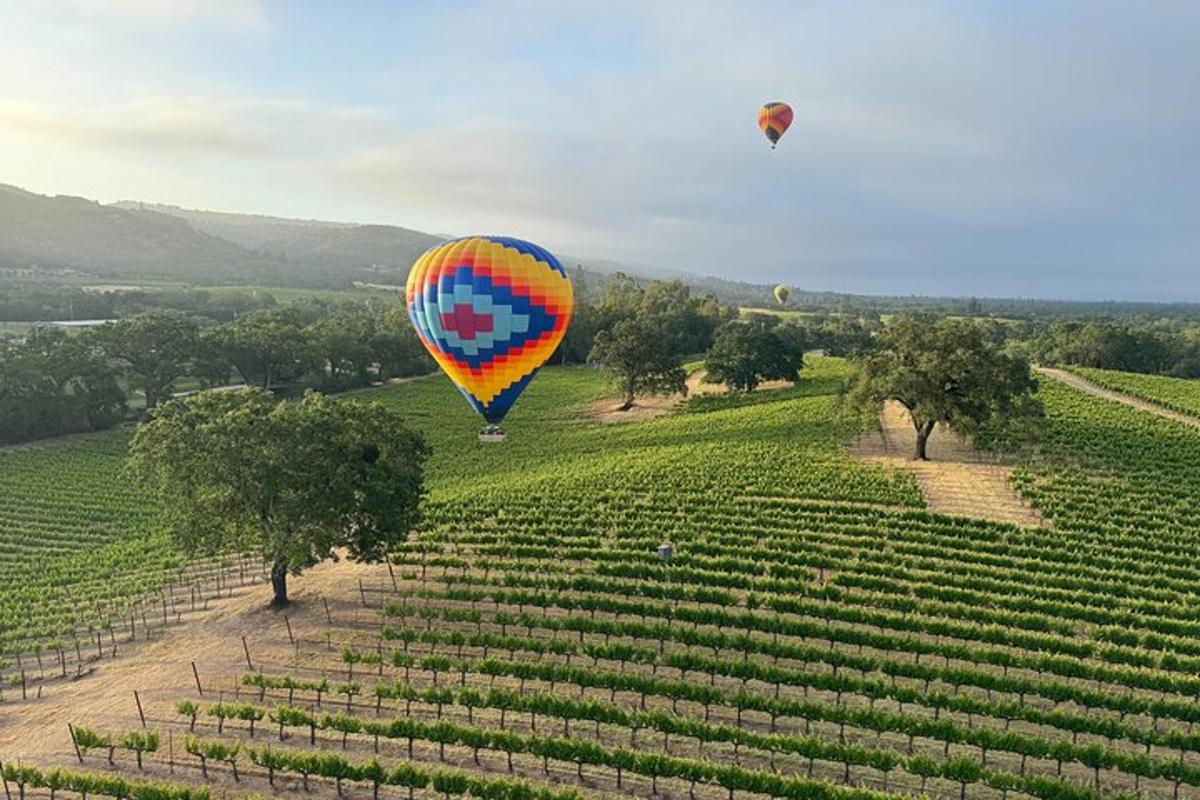 Barevný horkovzdušný balón letící nad vinicí