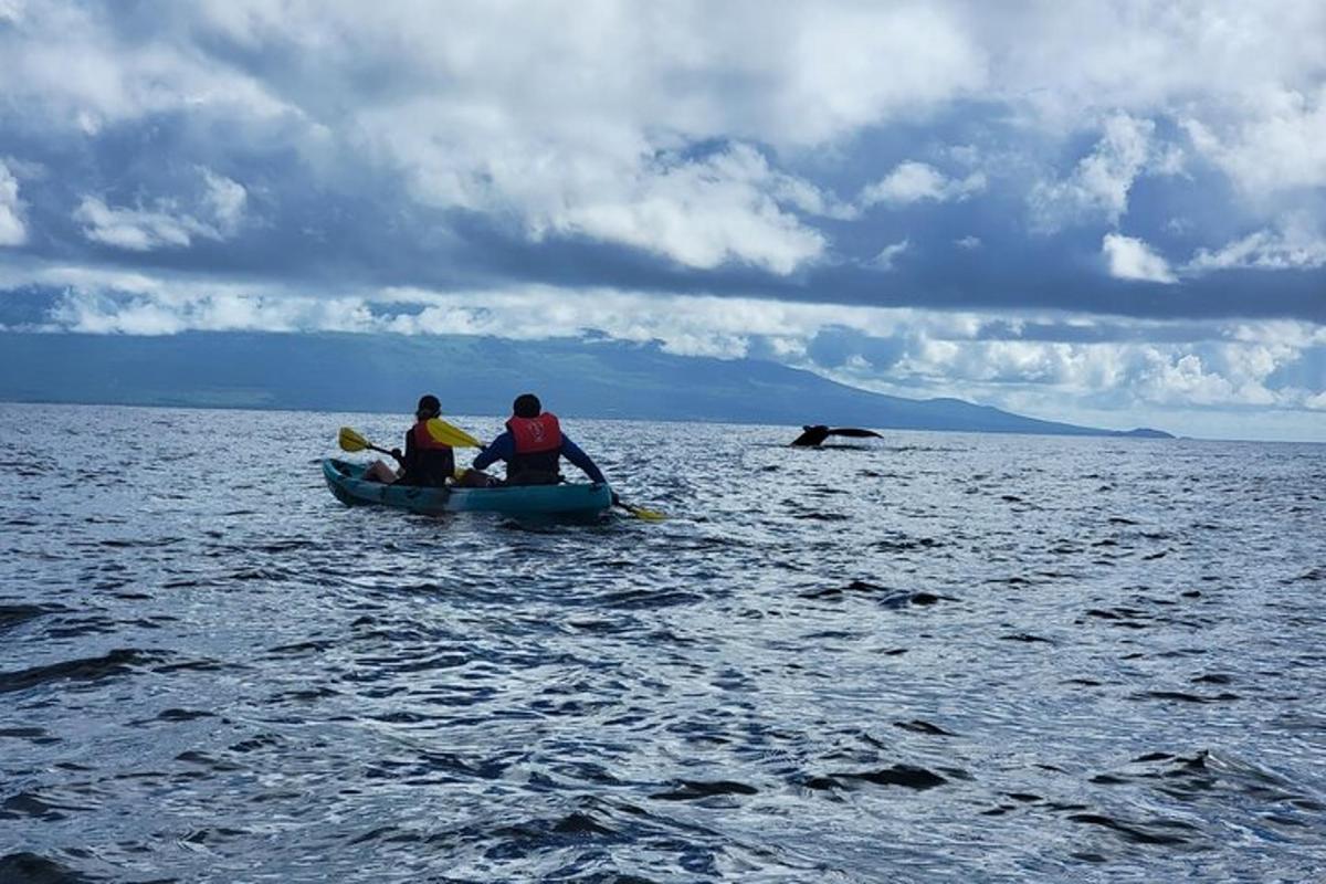 dua orang di dalam kayak di perairan