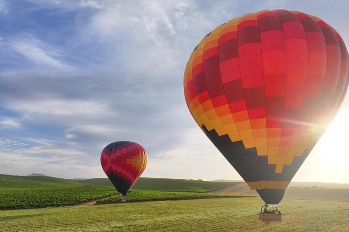 two hot air balloons flying in a field