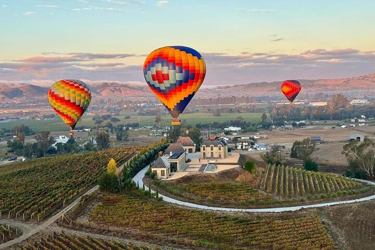 Skupina horkovzdušných balónů letících nad vinicí