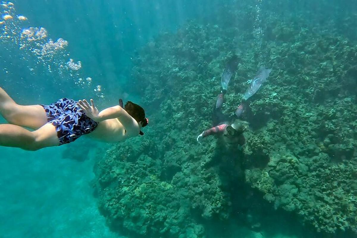 sekumpulan manusia berenang di lautan