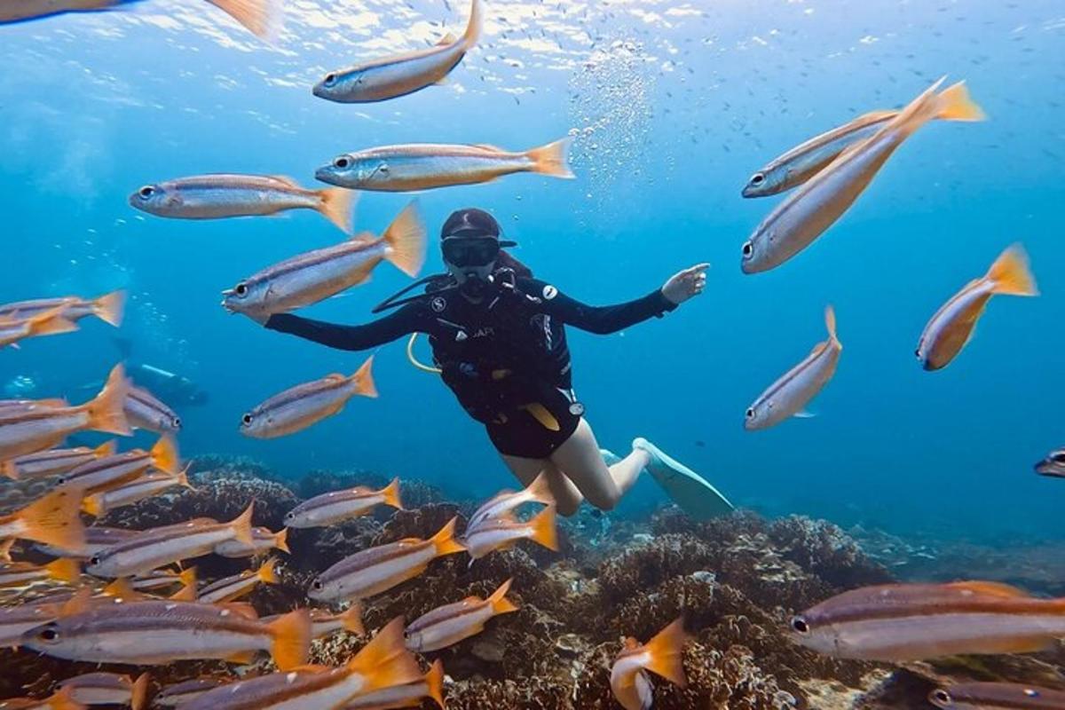 potápěč v oceánu s hejnem ryb